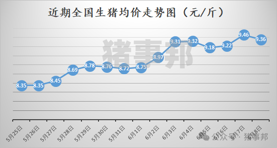 猪事邦|| 6月8日猪价汇总及分析（冲高回落！）  第2张