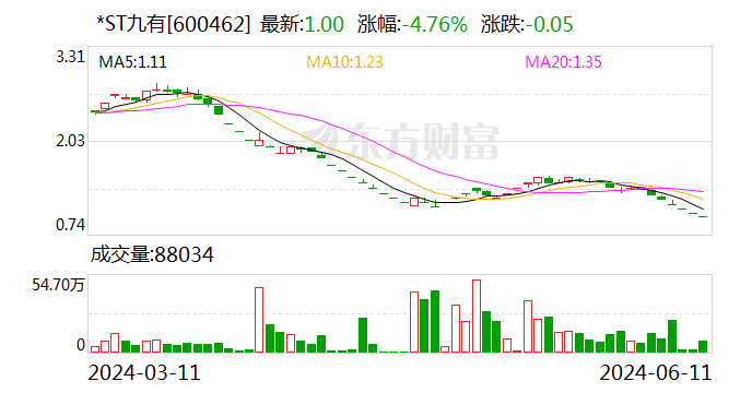 *ST九有：公司股票可能被上交所终止上市交易