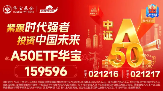 行情调整无碍交投热情！龙头宽基A50ETF华宝（159596）放量溢价，半日成交1.54亿元，高居同类第一！  第4张