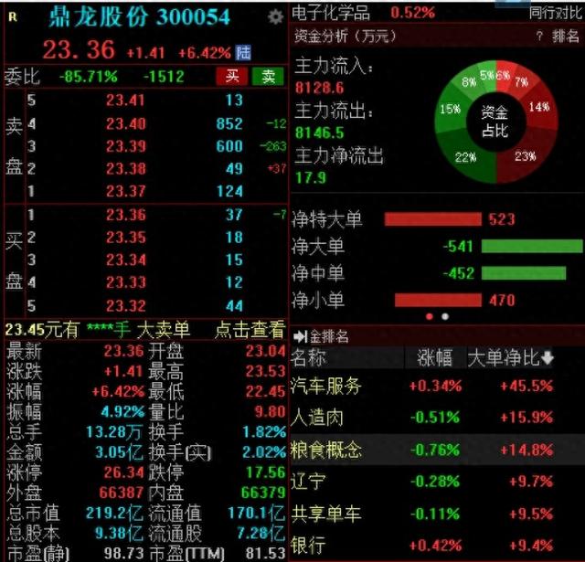 上半年业绩大幅预增逾110%，鼎龙股份早盘大涨超6%  第1张