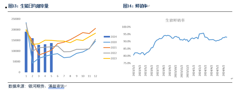 【生猪半年报】疫情影响有所放大 预期现实反复博弈  第7张