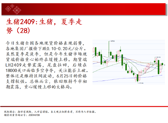 中天期货:原油关键位争夺 玉米区间回落