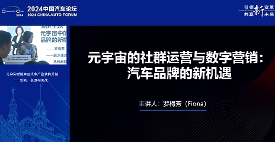 元宇宙专家罗梅芳：中国汽车品牌的现状就一句话，小荷才露尖尖角