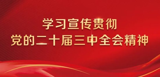 党的二十届三中全会精神在浦发银行干部员工中引发热烈反响（一）  第1张