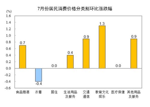 国家统计局：7月份居民消费价格上涨0.5%