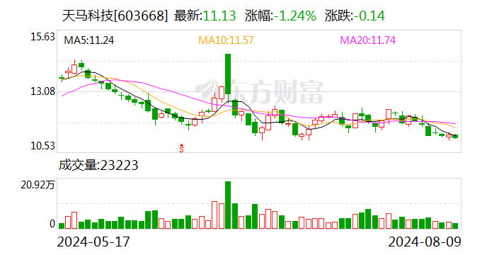 天马科技：向福清星马增资人民币1.7亿元