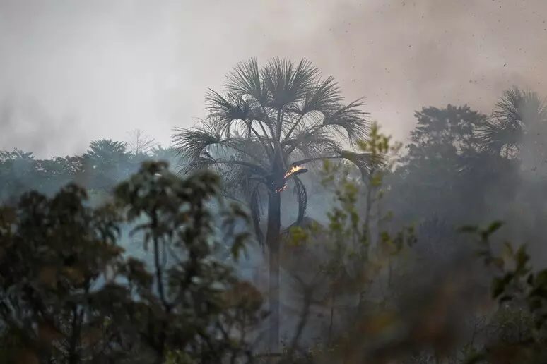 高温干旱持续 巴西多地进入低湿度红色紧急状态