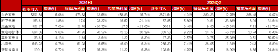 家电行业收入与净利润稳步增长，白色家电最为稳健——家用电器行业2024H1业绩点评  第10张