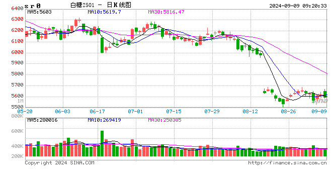 光大期货：9月9日软商品日报  第2张