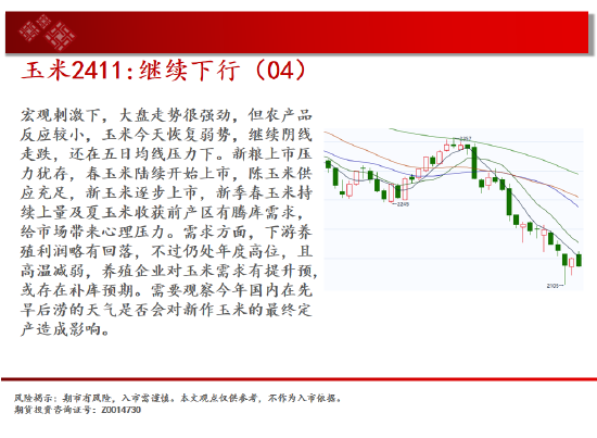 中天期货:原油反弹出现 棕榈继续拉高