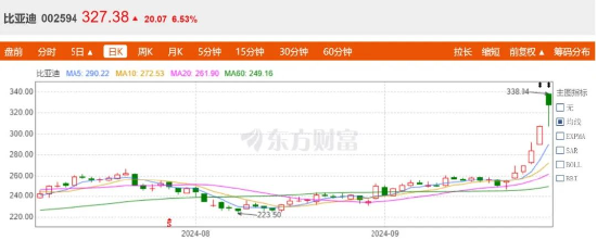 半年研发砸202亿，谁说比亚迪靠“人海战术”？  第2张