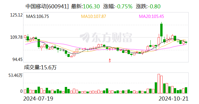 中国移动：9月移动业务客户数当月净增243.2万户  第1张